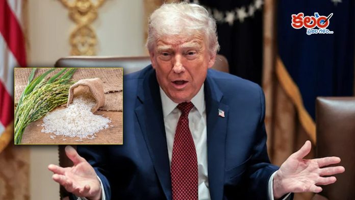 Rice Tariffs
