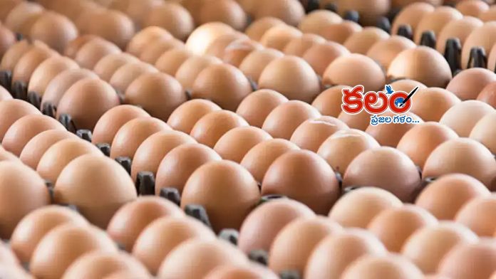Egg Prices