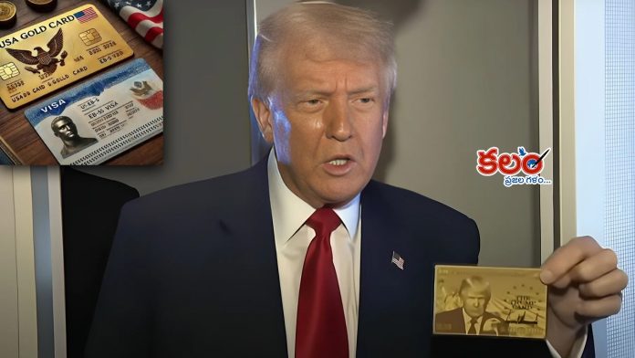 Trump Gold Card