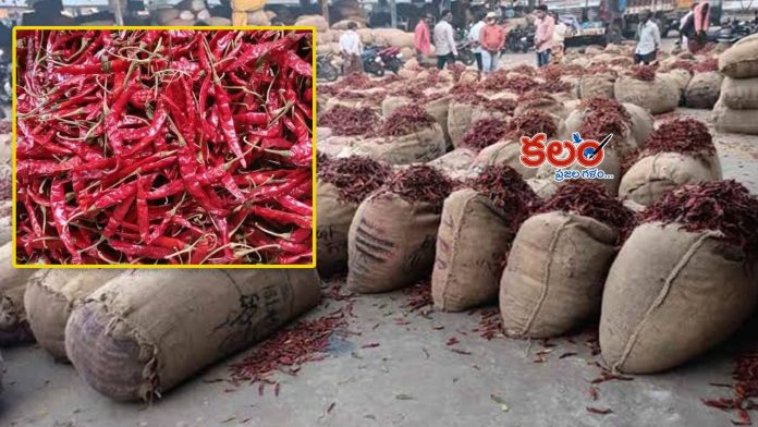 Khammam chilli market