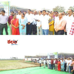 Thummala Nageswara Rao