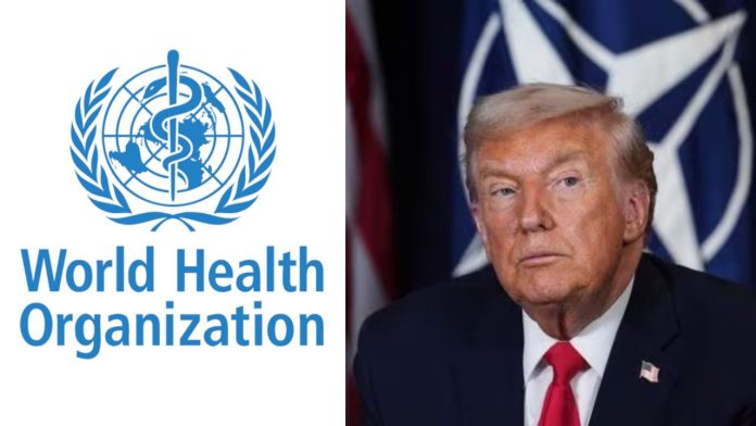 World Health Organization