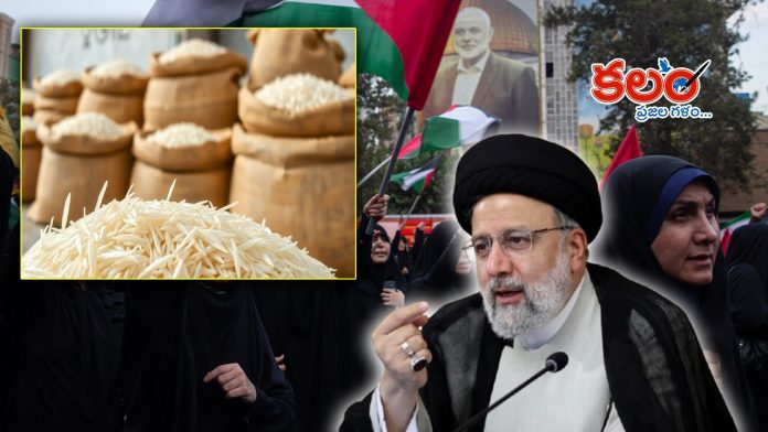 Basmati Rice Exports