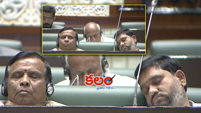 MLAs Sleeping