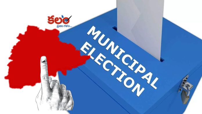 Municipal Elections