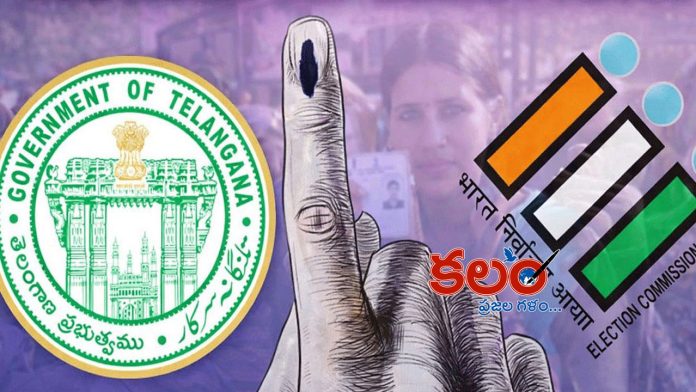 Municipal Elections Eligibility