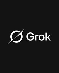 Grok Controversy