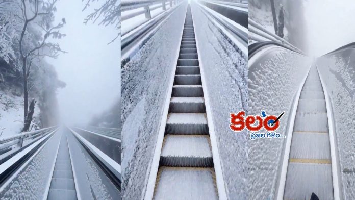 Longest Escalator
