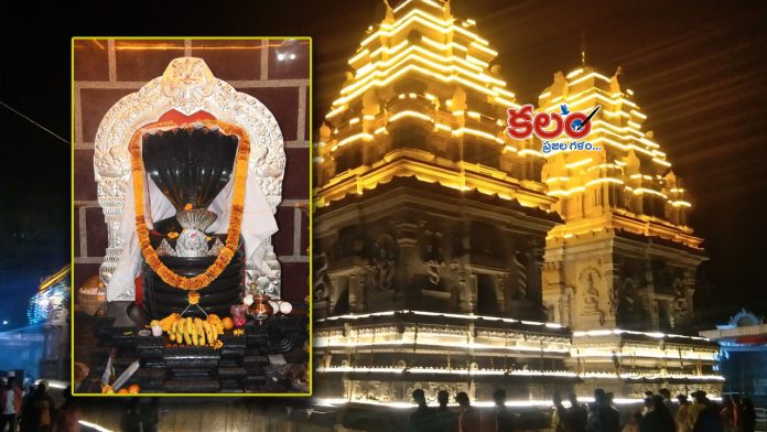 Nagoba Jatara