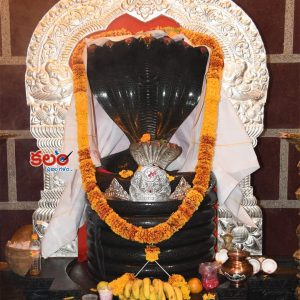 Nagoba Jatara