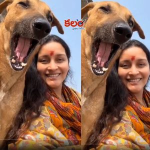 Renu Desai
