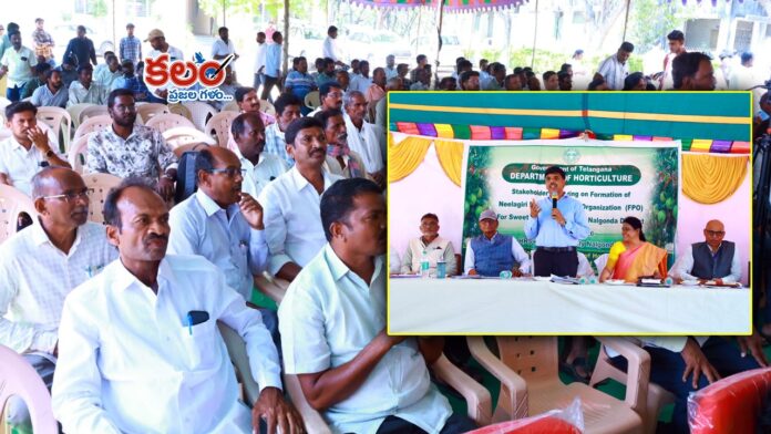 Sweet Lime Cultivation