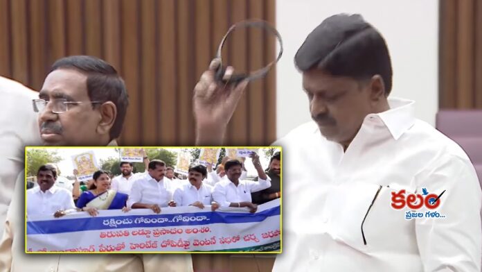 AP Legislative Council