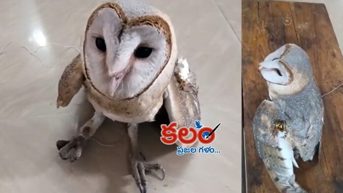 Bhadradri Kothagudem Bhadradri Kothagudem