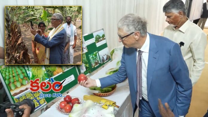 Bill Gates Bill Gates