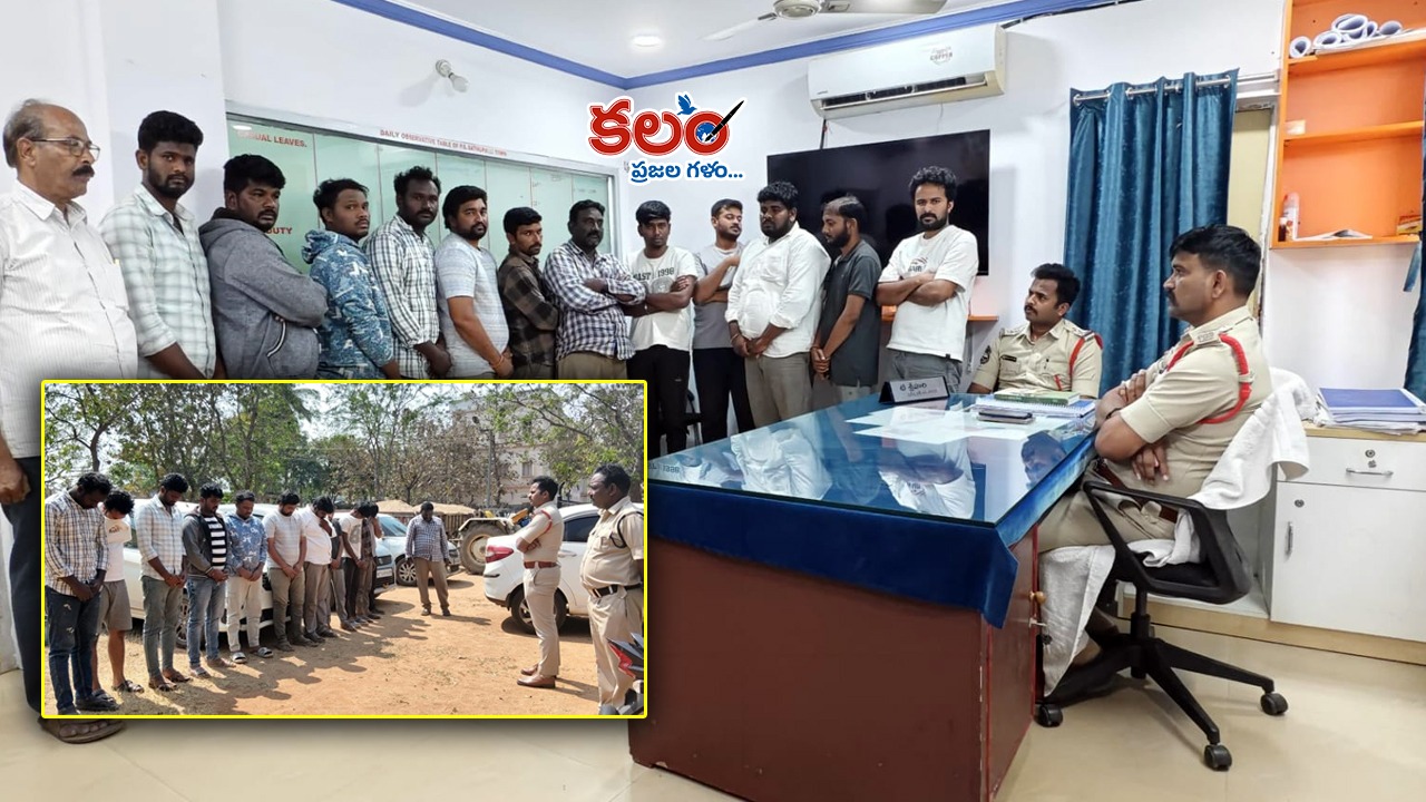 🐓 kodi pandalu 🐓 - ShareChat