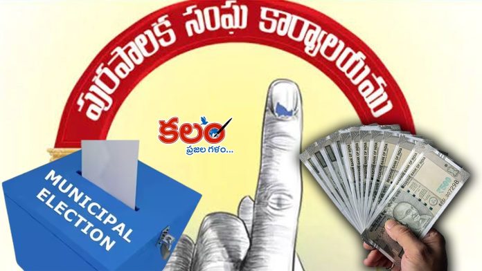 Municipal Elections