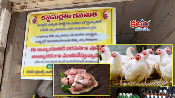 Chicken shops