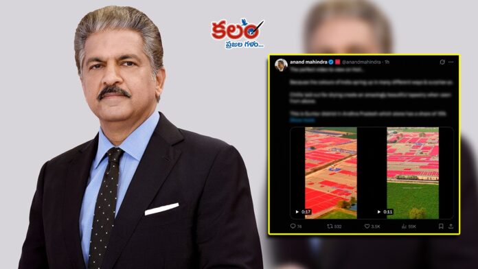 Anand Mahindra