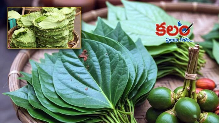 Betel Leaves