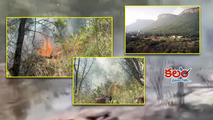 Tirumala Hills Fire