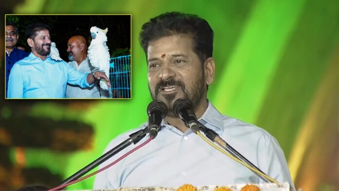 CM Revanth Reddy