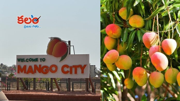 Mango City