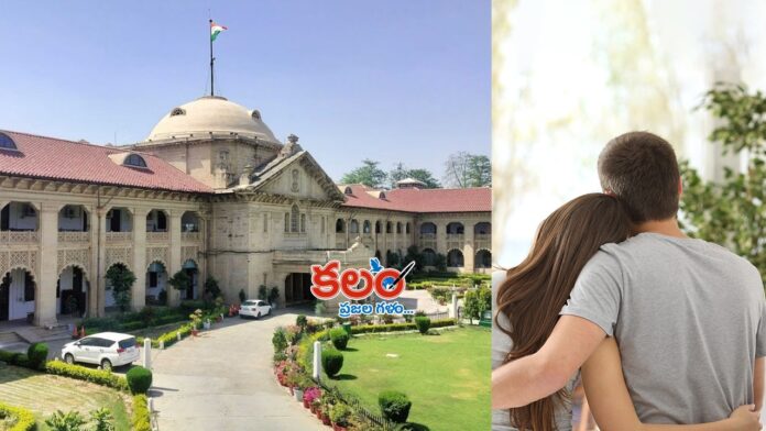 Allahabad High Court