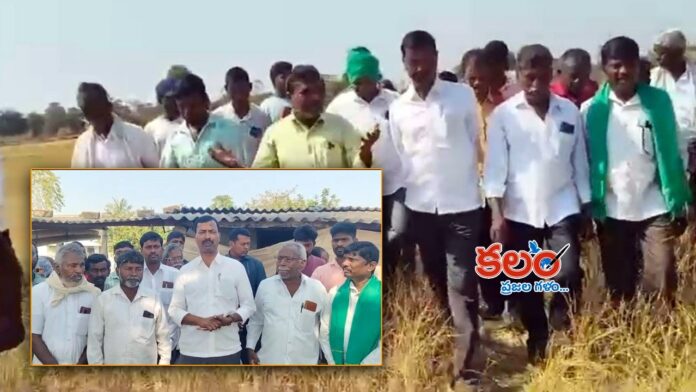 MLC Nellikanti