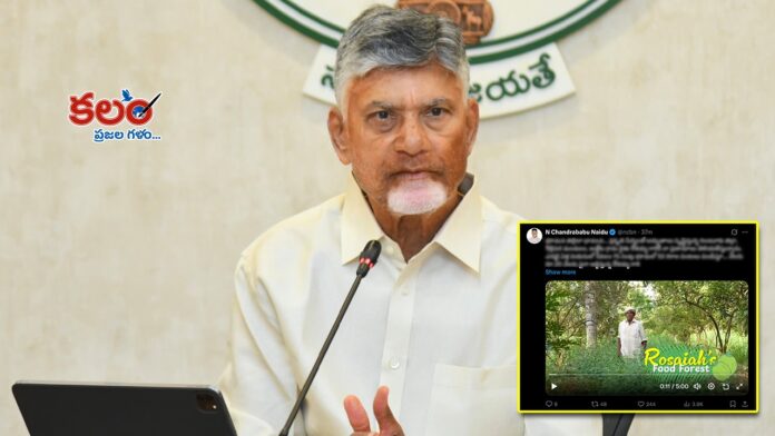 Farmer Rosaiah