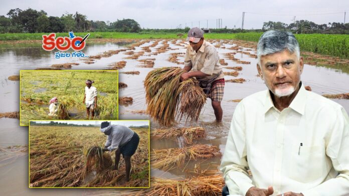 Chandrababu