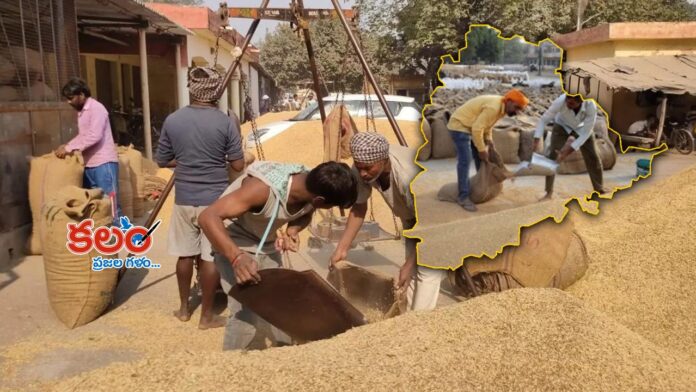 Paddy Procurement
