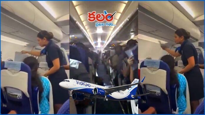 IndiGo flight