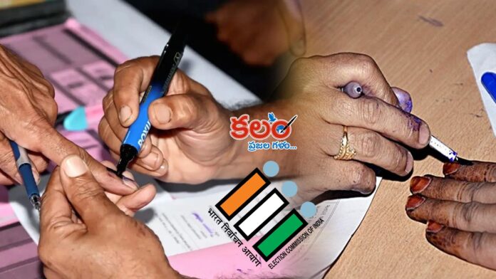 Municipal Elections