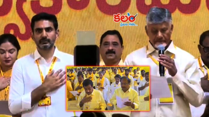TDP New Committees