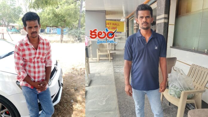 Wife Murders Husband