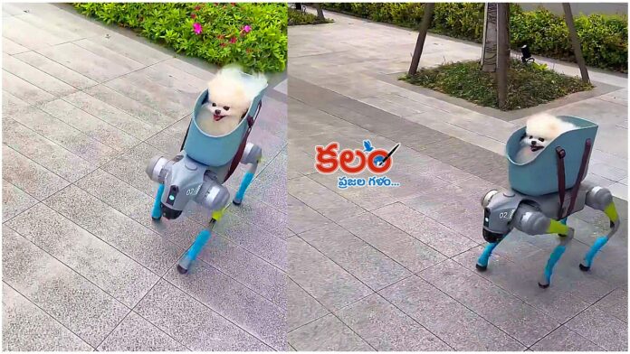 Dog Robots