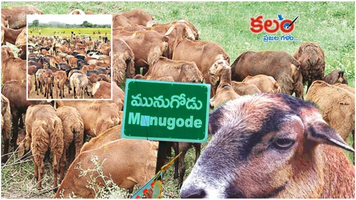 Munugode