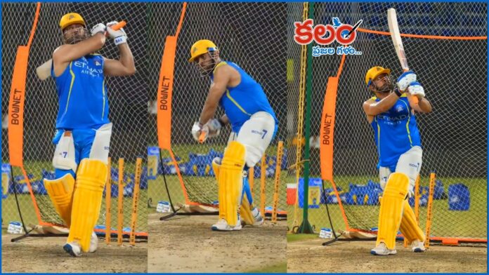 MS Dhoni