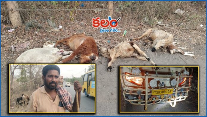 Bhadradri Kothagudem District