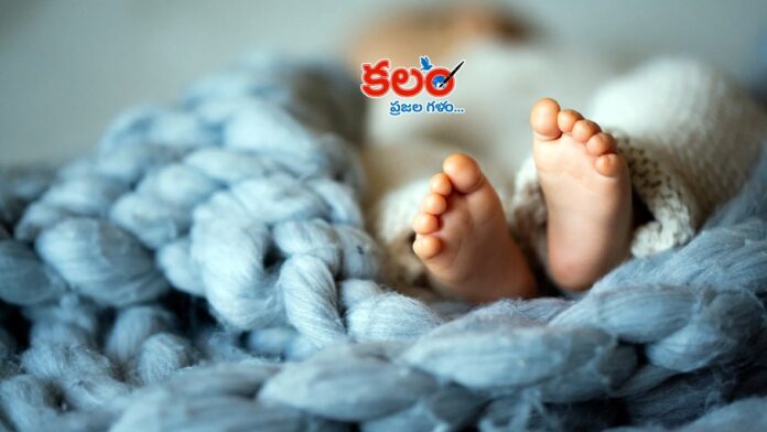 Bhadradri Kothagudem