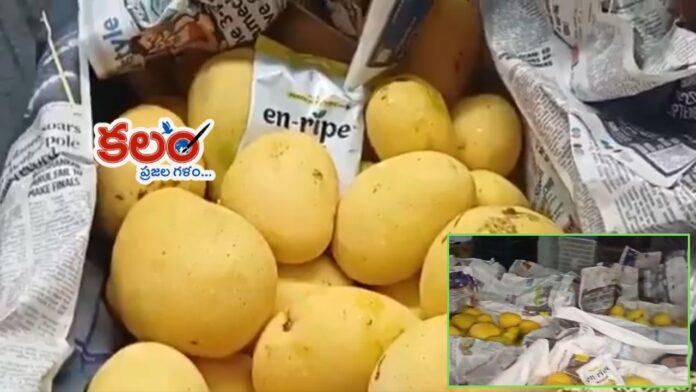 Ripened mangoes