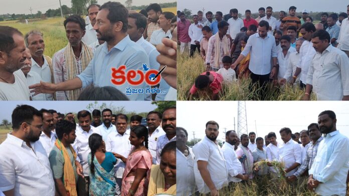 Medak Farmers