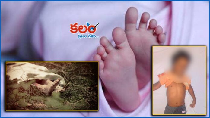 Kamareddy