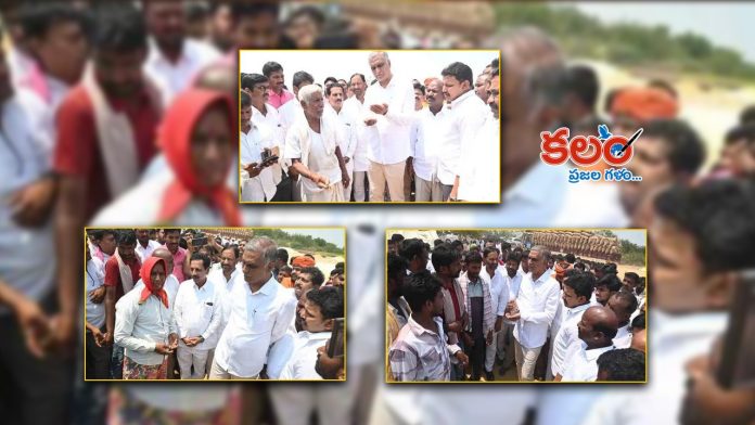 Harish Rao