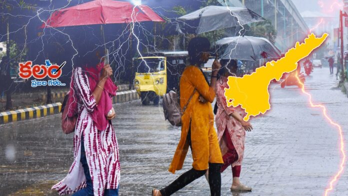 AP Weather