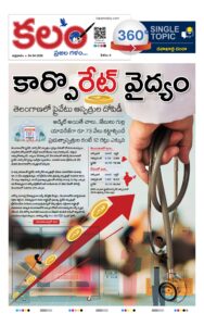 Private Hospitals