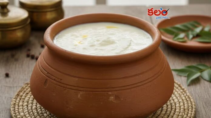 Curd
