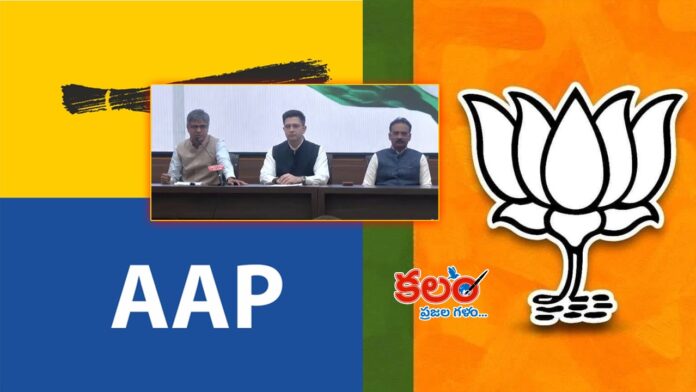 AAP