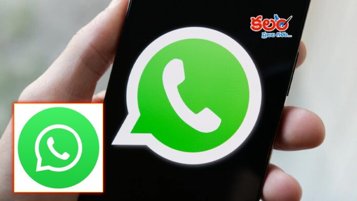 WhatsApp Accounts